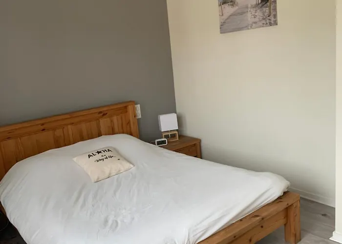 La Cote D'argent 2* Seignosse